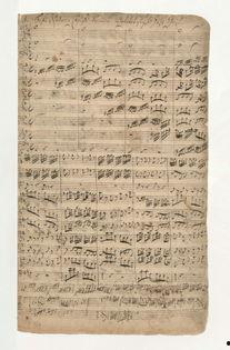 节拍之间,探寻音乐与生活的和谐韵律