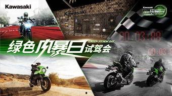 绿色风暴,引领未来可持续发展的绿色革命浪潮