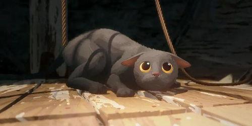 猫猫的奇幻漂流,一场跨越时空的冒险之旅